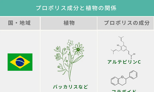 ブラジル・ミナスジェライス産の特別な理由