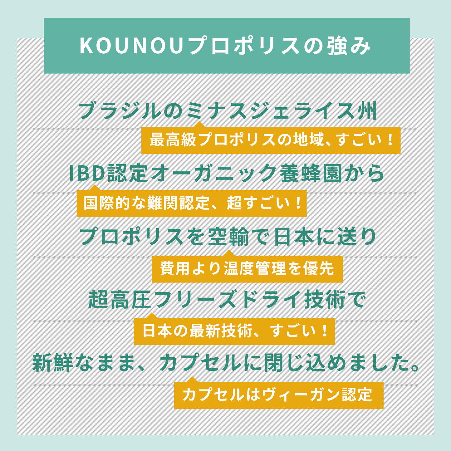 定期購入１箱｜1日300mg｜KOUNOU - 高能 - オーガニックプロポリス