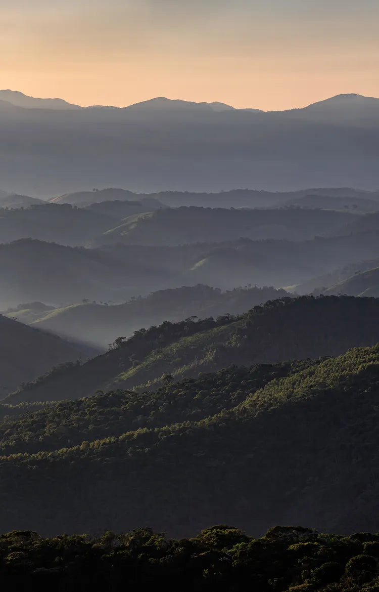 夜明けの光に照らされ、朝靄に幾重にも重なる山並み